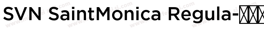 SVN SaintMonica Regula字体转换